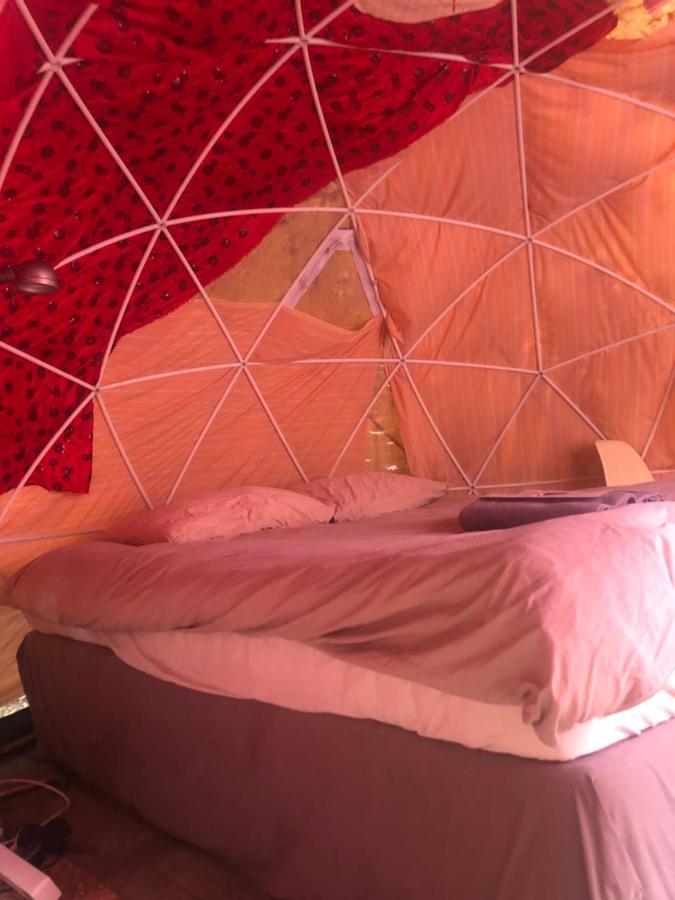 Hotel Vintage Dome Igloo Tent, Lange Haven Schiedam Extérieur photo